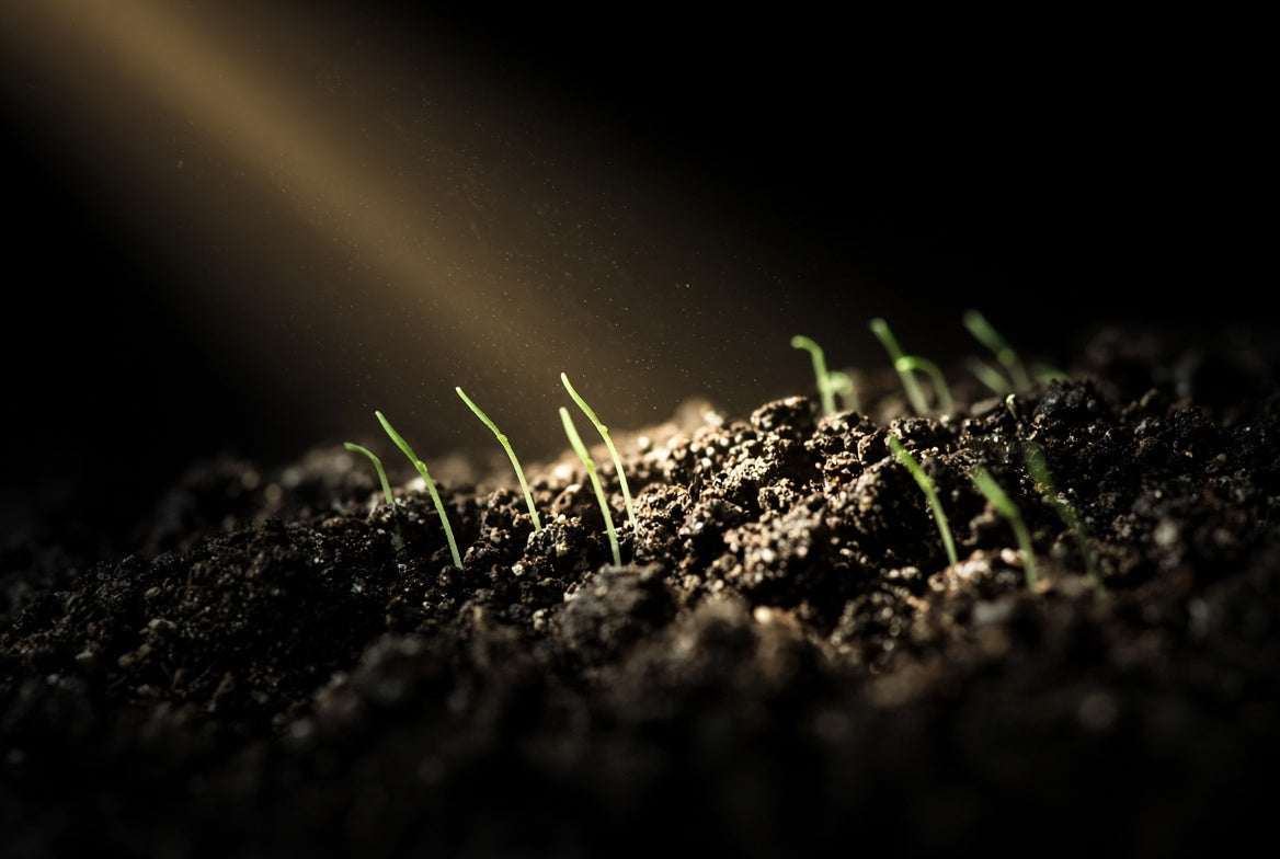 How to Renovate a Sports Field After the Season (and Not Start Over)