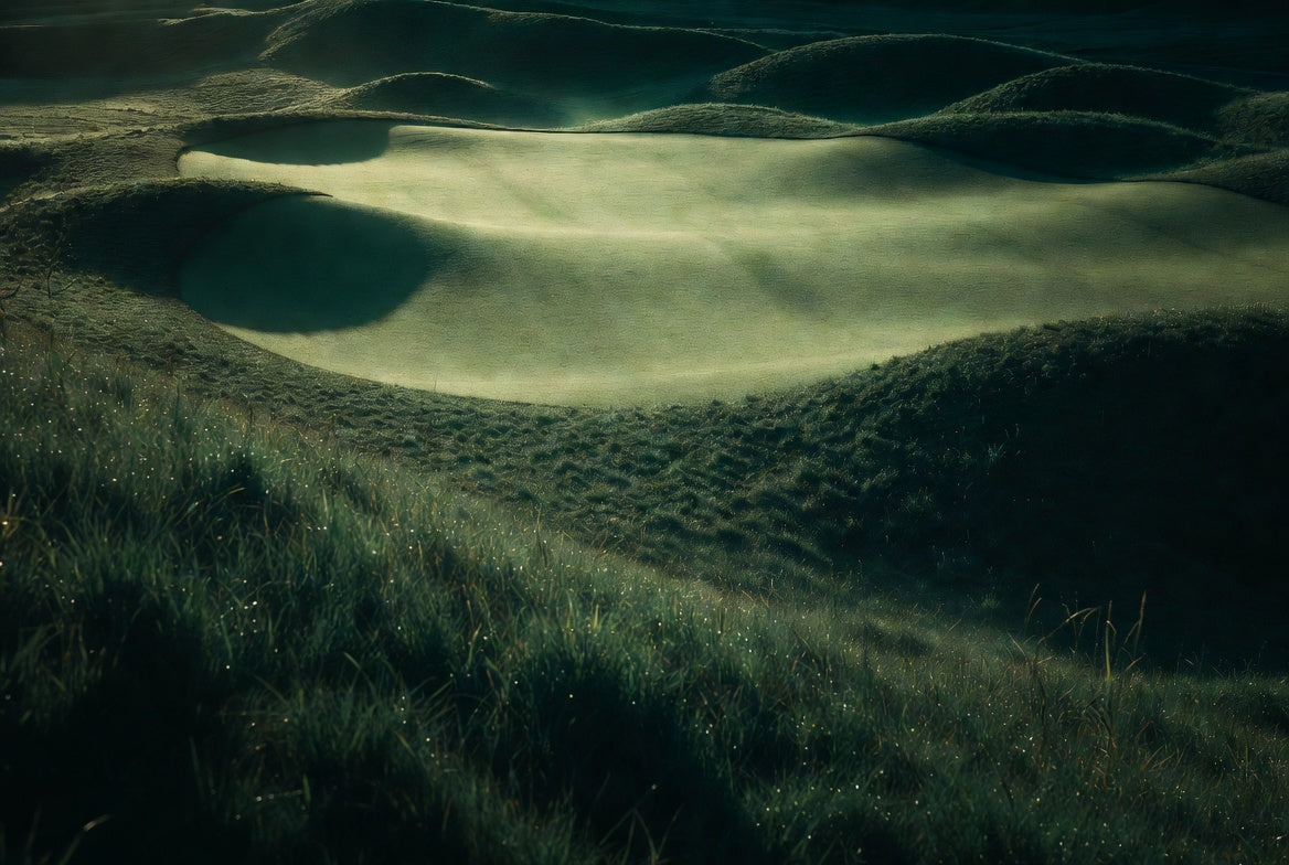 The DAKOTA Turf Program: Why We Built It and What It Actually Does